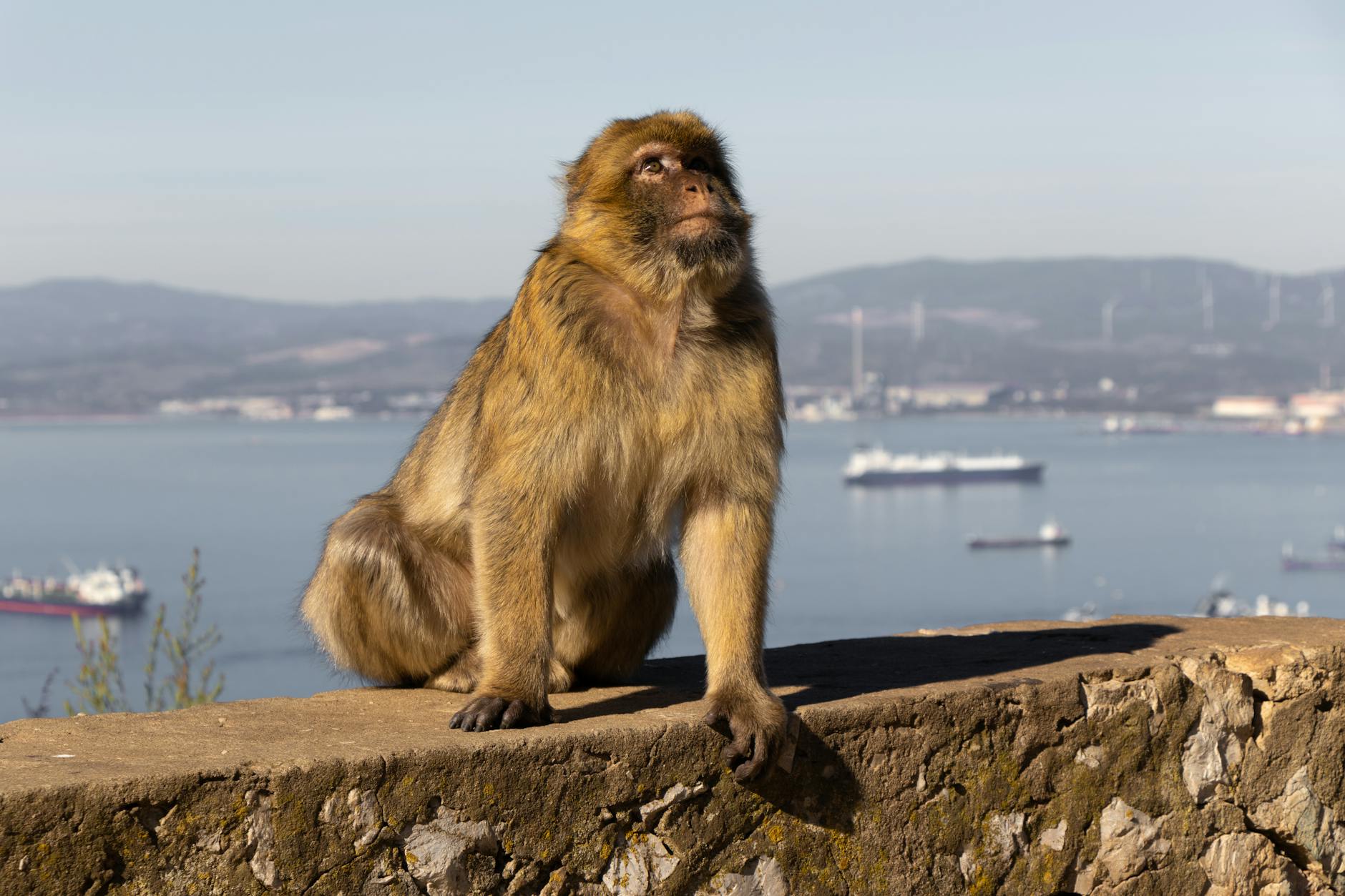 Unternehmensanwendung für Genehmigungs- und Workflow-Prozesse